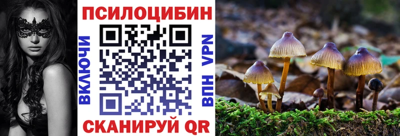 магазин продажи   Кочубеевское  Псилоцибиновые грибы ЛСД 